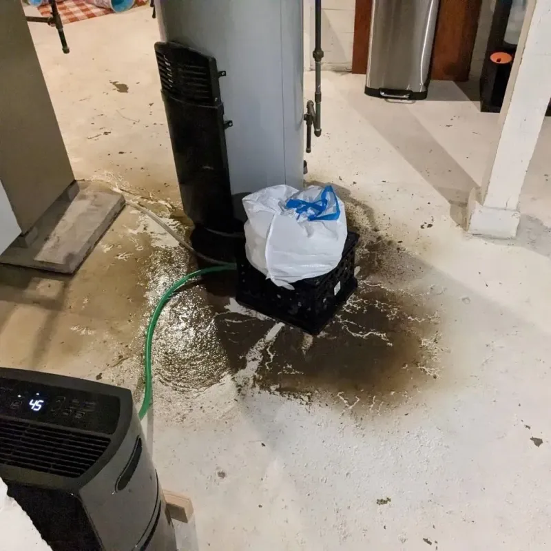 Sewage Backup Cleanup Service in Highlands, NJ